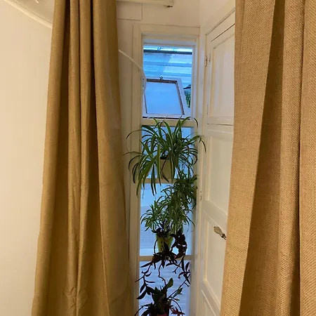 Studio Or With Private Bathroom Or With Shared Bathroom *